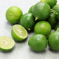 15 KEY LIME Citrus Aurantifolia Fruit Tree Shrub Seeds
