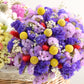 50 Pacific Mix STATICE (Sea Lavender) Mixed Colors  Limonium Sinuatum Flower Seeds