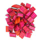 40 PINK LIPSTICK SWISS CHARD Vegetable Seeds Perpetual Spinach Beta Vulgaris Seeds