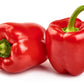150 BIG RED Bell PEPPER Sweet Capsicum Annuum Vegetable Seeds
