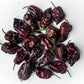 10 Chocolate CAROLINA REAPER PEPPER World's Hottest Capsicum Chinense Hot Brown Chili Vegetable Seeds