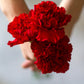 50 SCARLET RED CARNATION Dianthus Caryophyllus Grenadin Double Flower Seeds