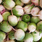 300 WATERMELON RADISH Beauty Heart Raphanus Sativus Pink White Vegetable Seeds