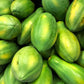 30 PAPAYA MELON Fruit TREE Carica Papaya Seeds