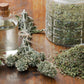 200 Lemon LEMONY CATNIP Nepeta Cataria Citriodora Herb Flower Seeds