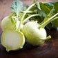 2000 WHITE VIENNA KOHLRABI German Turnip / Turnip Cabbage Brassica Oleracea Root & Leaf Vegetable Seeds