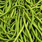 50 FRENCH Blue Lake POLE BEAN Phaseolus Vulgaris Vegetable Seeds