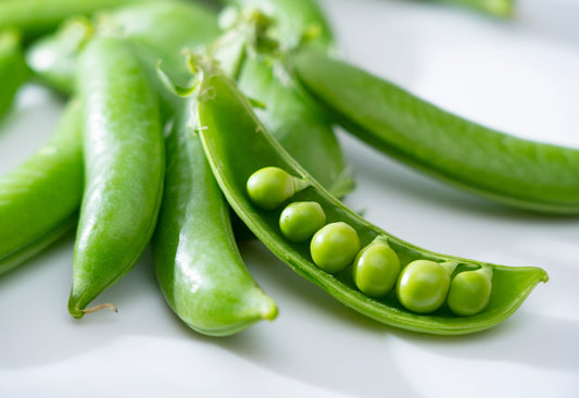 50 Super SUGAR SNAP PEA Pisum Sativum Macrocarpon Vegetable Seeds