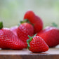100 ALPINE STRAWBERRY Fragaria Vesca Red Fruit White Flower Seeds