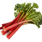 25 VICTORIA RHUBARB aka Pieplant Rheum Rhabarbarum Perennial Fruit Vegetable Seeds