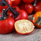 25 TURKISH ORANGE EGGPLANT Scarlet Solanum Aethiopicum Fruit Vegetable Seeds