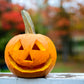 40 SMALL SUGAR PUMPKIN Orange Pie or Carving Cucurbita Pepo Vegetable Seeds