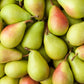 25 EUROPEAN PEAR TREE Pyrus Communis Fruit Seeds - White Flowers / Green Fruit