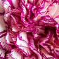 100 RAINBOW CARNATION Mix Mixed Colors Dianthus Caryophyllus Flower Seeds