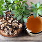 50 LOVAGE Levistucum Officinale - Flavor like celery & anise - Herb Flower Seeds