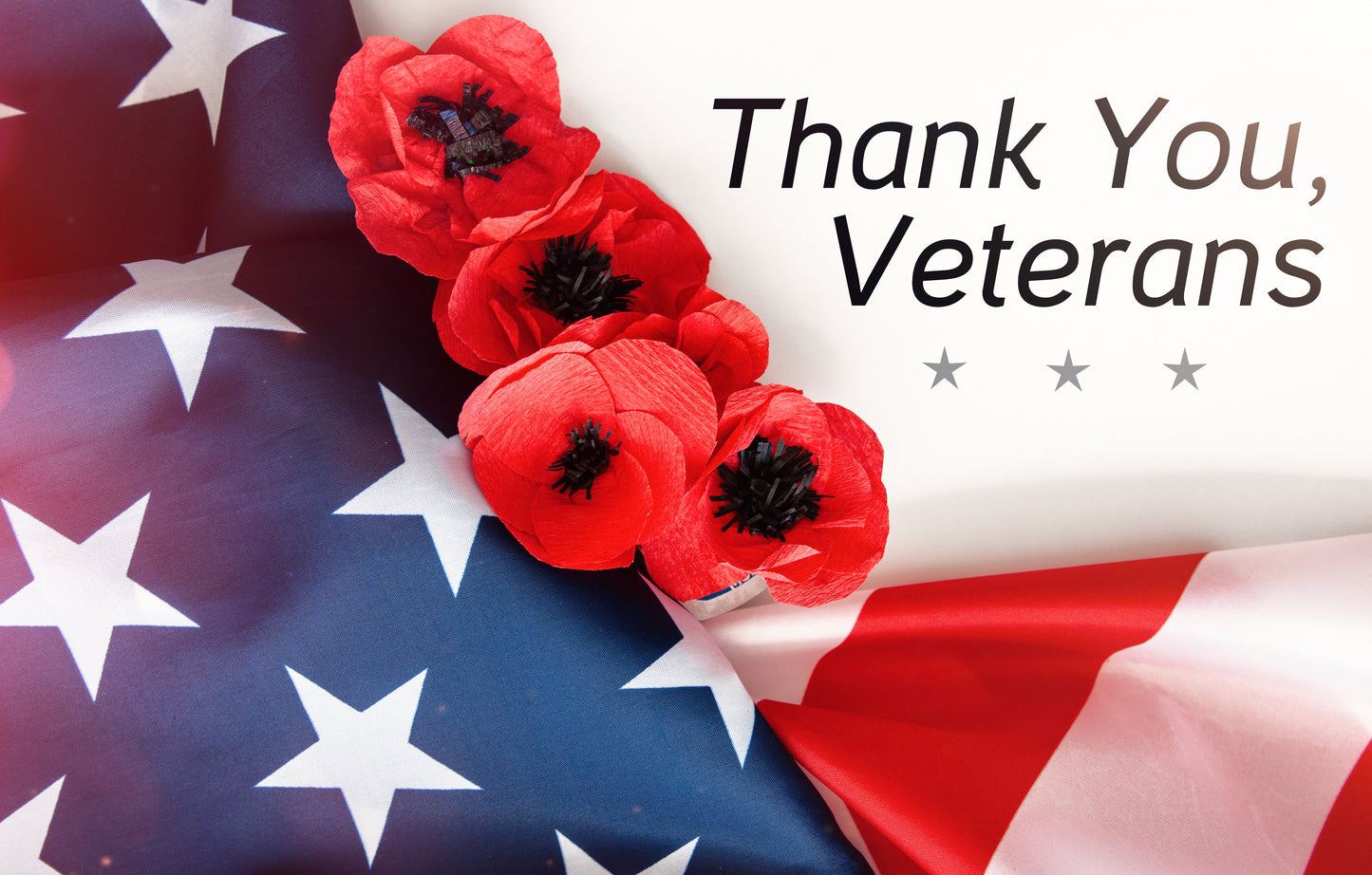 1000 Red AMERICAN LEGION (Corn / Shirley / Flanders) POPPY Papaver Rhoeas Flower Seeds