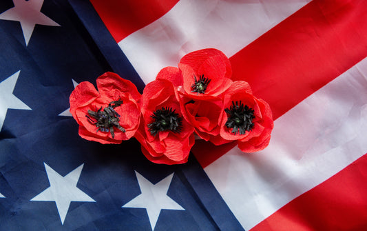 1000 Red AMERICAN LEGION (Corn / Shirley / Flanders) POPPY Papaver Rhoeas Flower Seeds