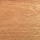 5 TRUE MAHOGANY TREE Honduran Big Leaf Sky Fruit Swietenia Macrophylla Seeds