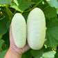 50 WHITE WONDER CUCUMBER Fruit Cucumis Sativus Seeds