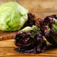 3000 RED ROMAINE LETTUCE Lactuca Sativa Vegetable Seeds
