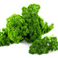 1000 MOSS CURLED PARSLEY Petroselinum Crispum Herb Vegetable Flower Seeds
