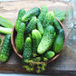 200 NATIONAL PICKLING CUCUMBER Fruit Cucumis Sativus Seeds
