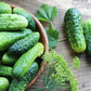 200 NATIONAL PICKLING CUCUMBER Fruit Cucumis Sativus Seeds