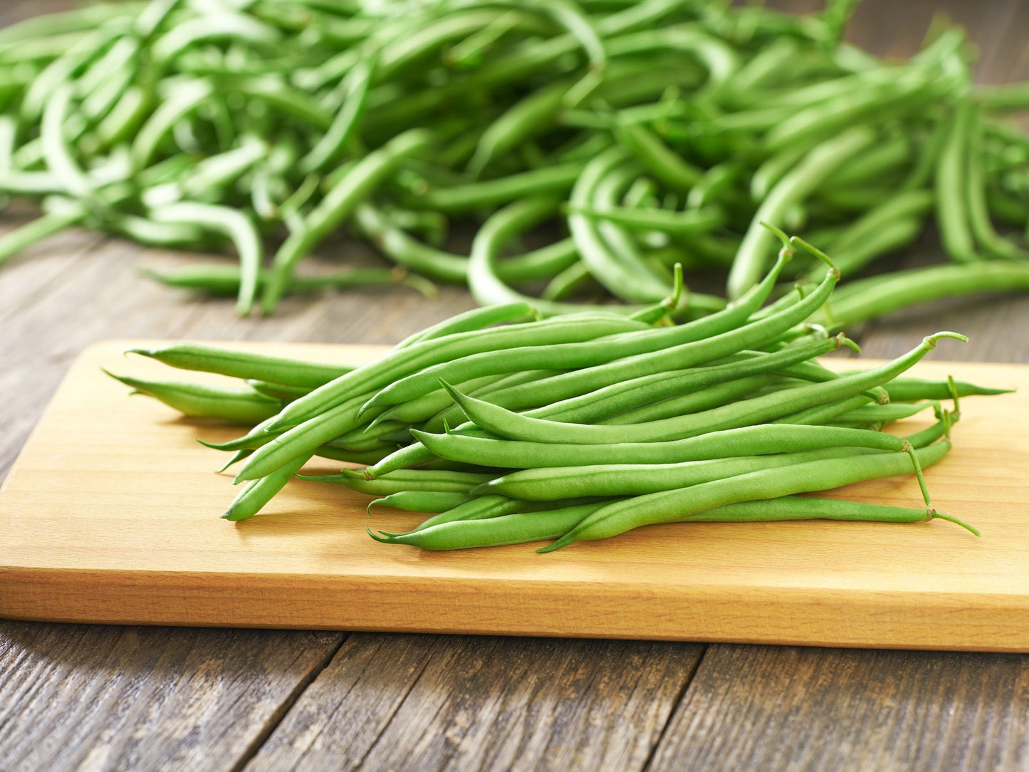 50 TENDERGREEN GREEN BEAN Phaseolus Vulgaris Vegetable Seeds