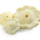 50 WHITE Bush SCALLOP SQUASH (Patty Pan / Paty Pan / Squanter Squash) Summer Cucurbita Pepo Vegetable Seeds