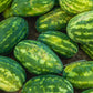 20 CAL SWEET Supreme WATERMELON Red Citrullus Lanatus 30 lb Melon Fruit Seeds