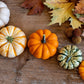 20 MINI MIX PUMPKIN Miniature Cucurbita Pepo White Green Orange Striped Vegetable Seeds