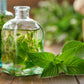 250 PEPPERMINT MINT Mentha Piperita Herb Flower Seeds