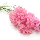 100 PINK PERFECTION LARKSPUR / DELPHINIUM Consolida Ambigua Ajacis Flower Seeds