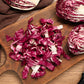 100 ROSSA Di VERONA RADICCHIO / Endive Italian Cichorium Intybus Vegetable Seeds