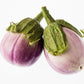 50 Organic Italian EGGPLANT ROSA BIANCA Solanum Melongena Esculentum Vegetable Seeds