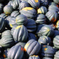 50 Table Queen ACORN SQUASH Winter Cucurbita Pepo Vegetable Seeds