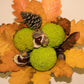 10 HEDGE APPLE Osage Orange Horse Apple Monkey Ball Maclura Pomifera Tree Seeds