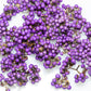 40 American PURPLE BEAUTYBERRY Shrub Flower Callicarpa Americana Seeds