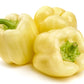 50 WHITE CLOUD BELL PEPPER Sweet Mild Capsicum Annuum Vegetable Seeds