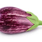 30 Pandora STRIPED ROSE EGGPLANT Solanum Melongena White Fruit Vegetable Seeds