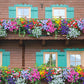 250 Mixed Colors DWARF PETUNIA Pink Red Purple White Bicolor Flower Seeds