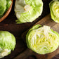 1000 GREAT LAKES LETTUCE Batavian Iceberg Lactuca Sativa Vegetable Seeds