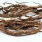 20 SIBERIAN GINSENG Eleutherococcus Senticosus Ci Wu Jia Herb Shrub Seeds
