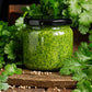 250 LEISURE CILANTRO / CORIANDER Coriandrum Sativum Herb Vegetable Seeds