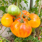 50 PINEAPPLE TOMATO Heirloom Beefsteak Indeterminate Solanum Fruit Vegetable Seeds