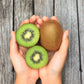 100 KIWI FRUIT Kiwi Actinidia Vine Seeds (Kiwifruit / Hardy Kiwi / Tara Vine / Yang Tao / Chinese Gooseberry / Chinese Strawberry)