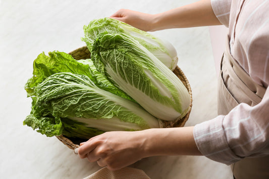 500 MICHIHILI CABBAGE Napa (Chinese Cabbage / Bok Choy / Pak Choi / Celery Mustard / Chinese Chard) Brassica Rapa Chinensis Vegetable Seeds