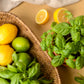 150 LIME BASIL Ocimum Basilicum HERB Flower Seeds