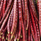25 RED NOODLE BEAN Yard Long Asparagus Bean Chinese Phaseolus Vulgaris Legume Vegetable Seeds