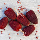 150 Red STRAWBERRY POPCORN CORN Zea Mays Vegetable Seeds
